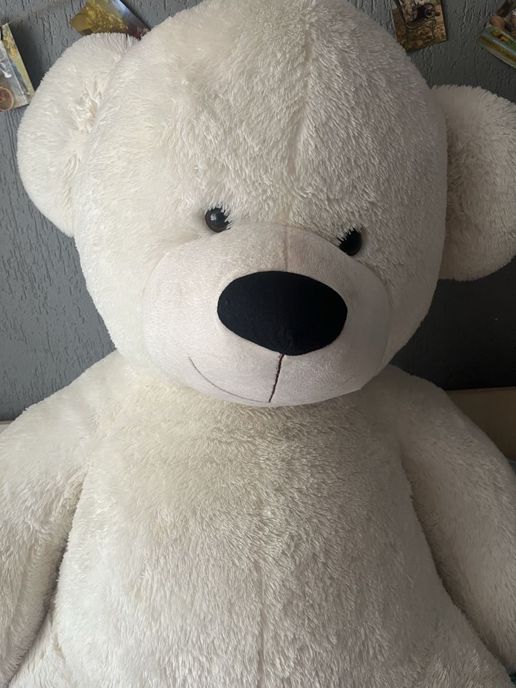 Pluszowy miś XXL 180 cm