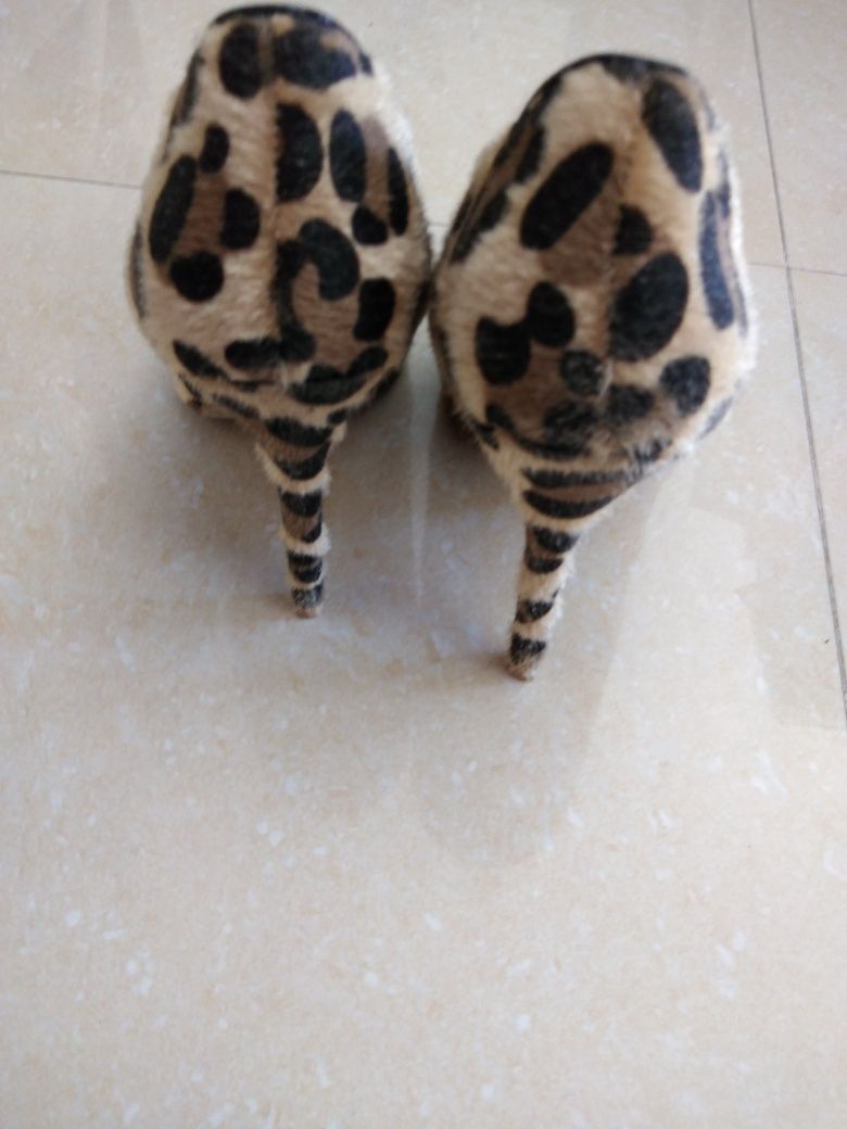 Sapatos tipo tigre