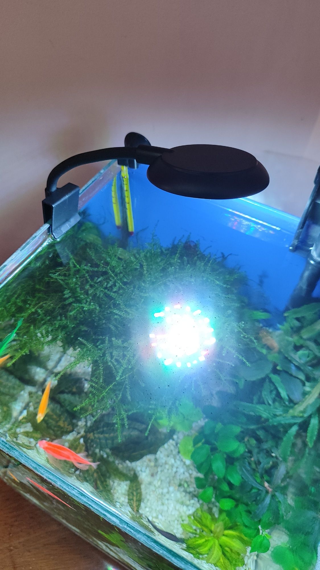Лампа для акваріума світильник