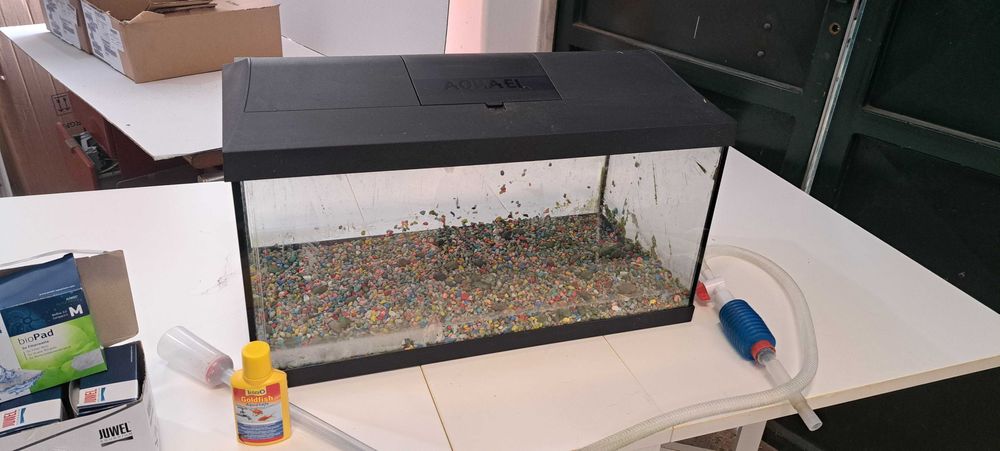 Aquário com 60cmx30cmx30cm com alguns acessórios
