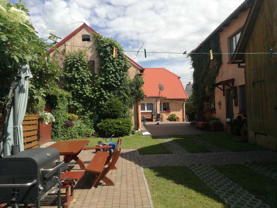 Domki i pokoje studio nad jeziorem w Borach Tucholskich-Cekcyn