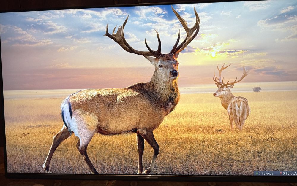 Телевізор Bravis 55 дюймів. SmartTV. Самовивіз