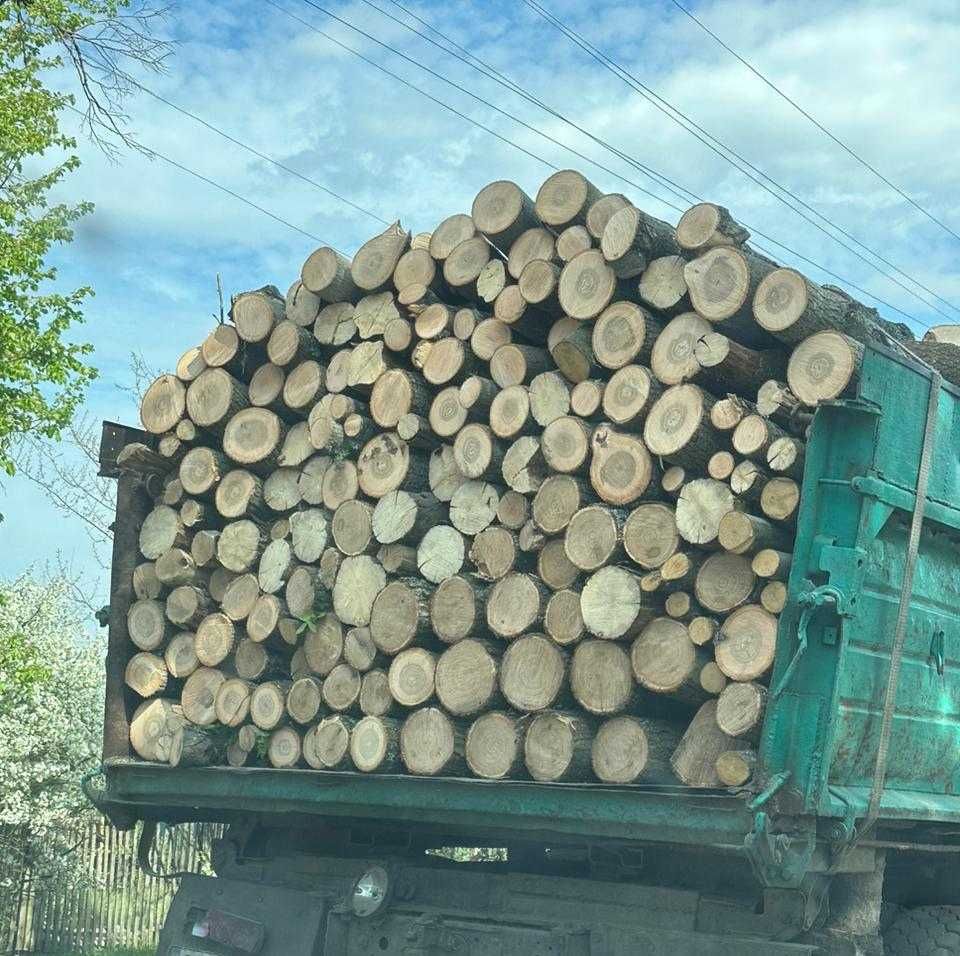 Продам дрова оптом