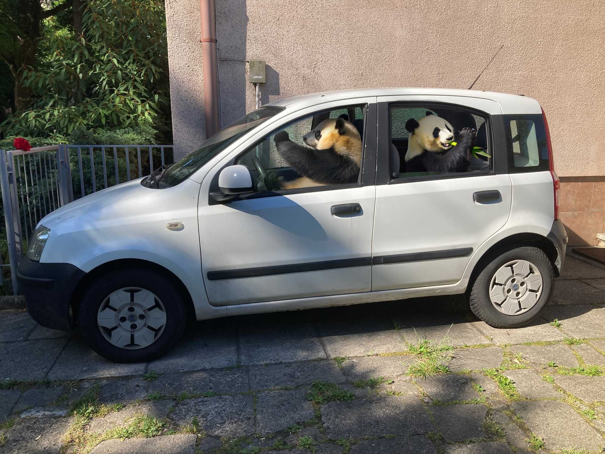 Fiat Panda 1.1, 2004r.