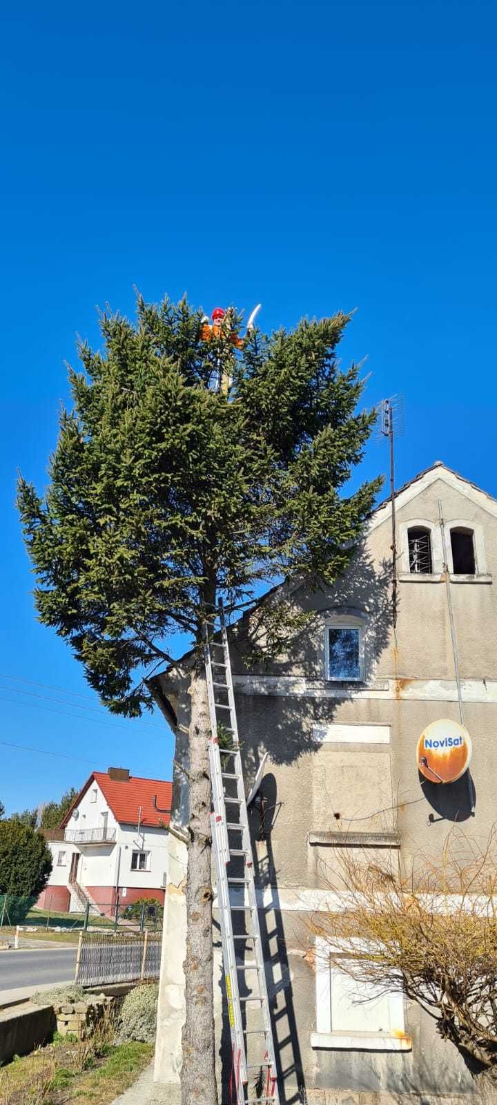 Wycinka drzew, Wywóz,Przycinanie, drzew owocowych, Koszenie, Transport