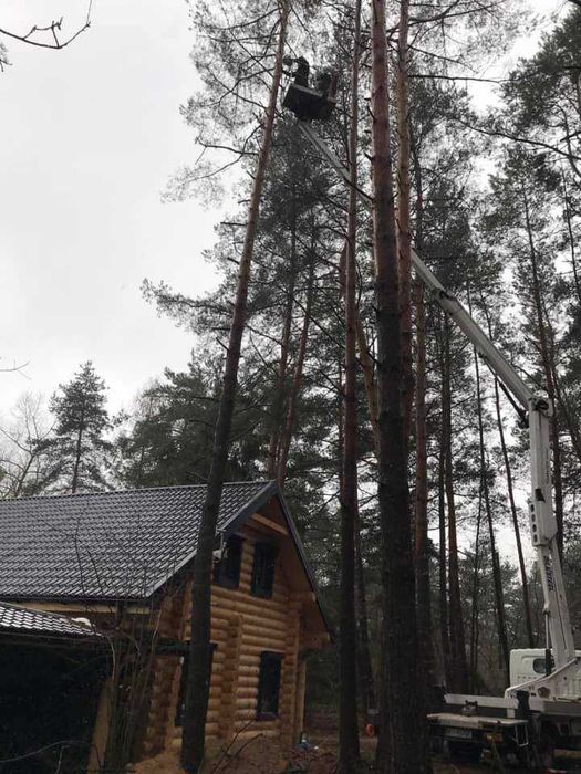 Wycinka drzew,przycinanie gałęzi, złamane drzewa -Piaseczno i okolice!