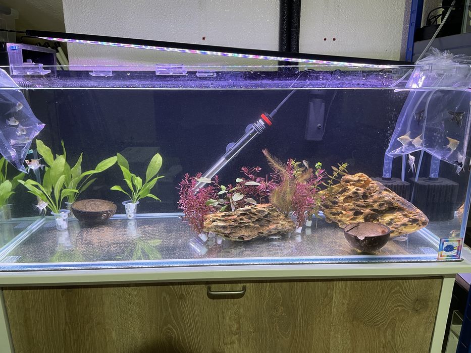 Aquário 160L (100x40x40)