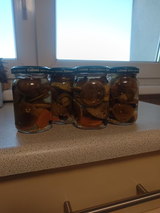 Podgrzybki w zalewie occtowej