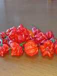 Carolina Reaper- Fruto Fresco; Semente