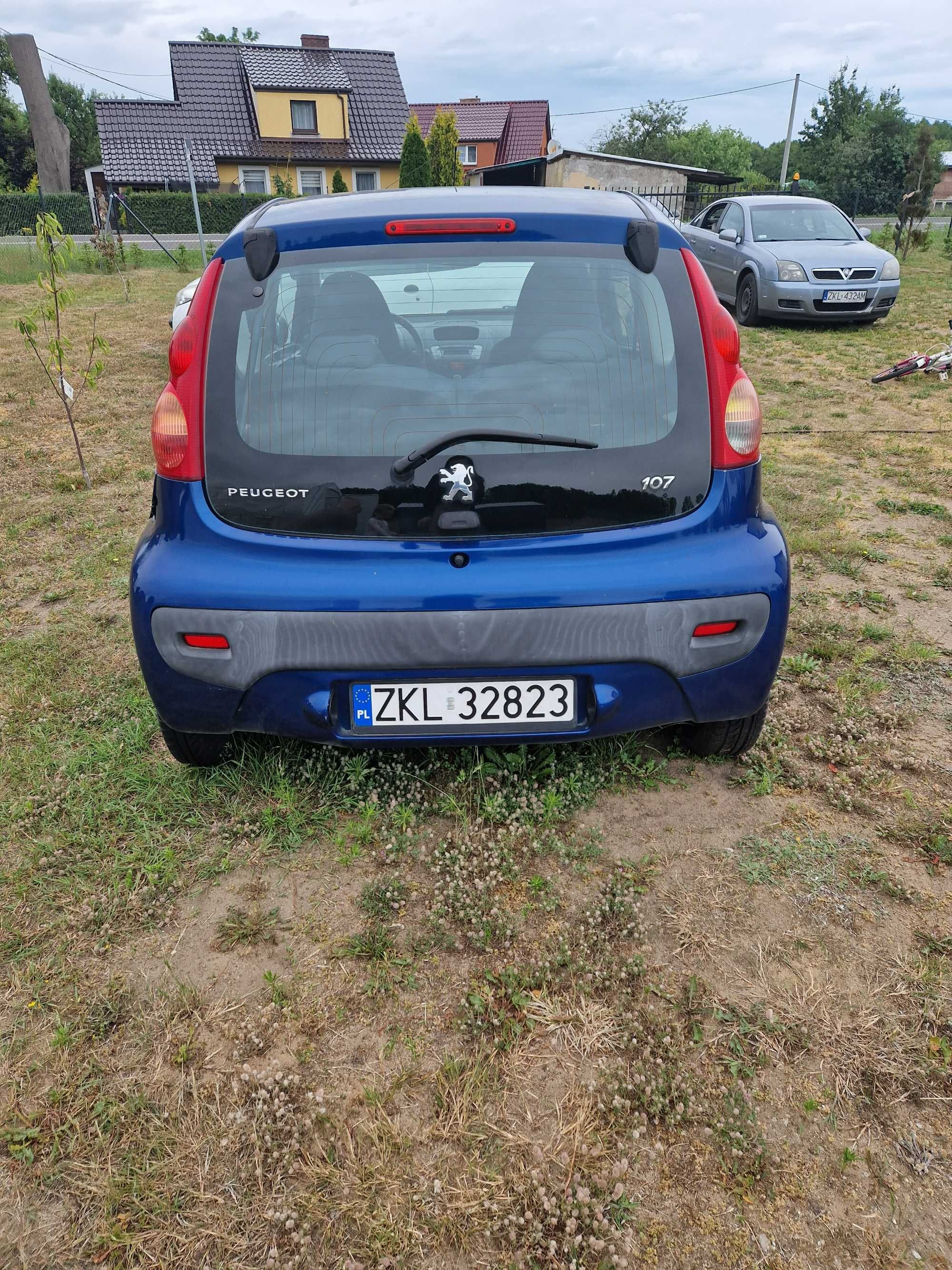 Sprzedam Pegota 107