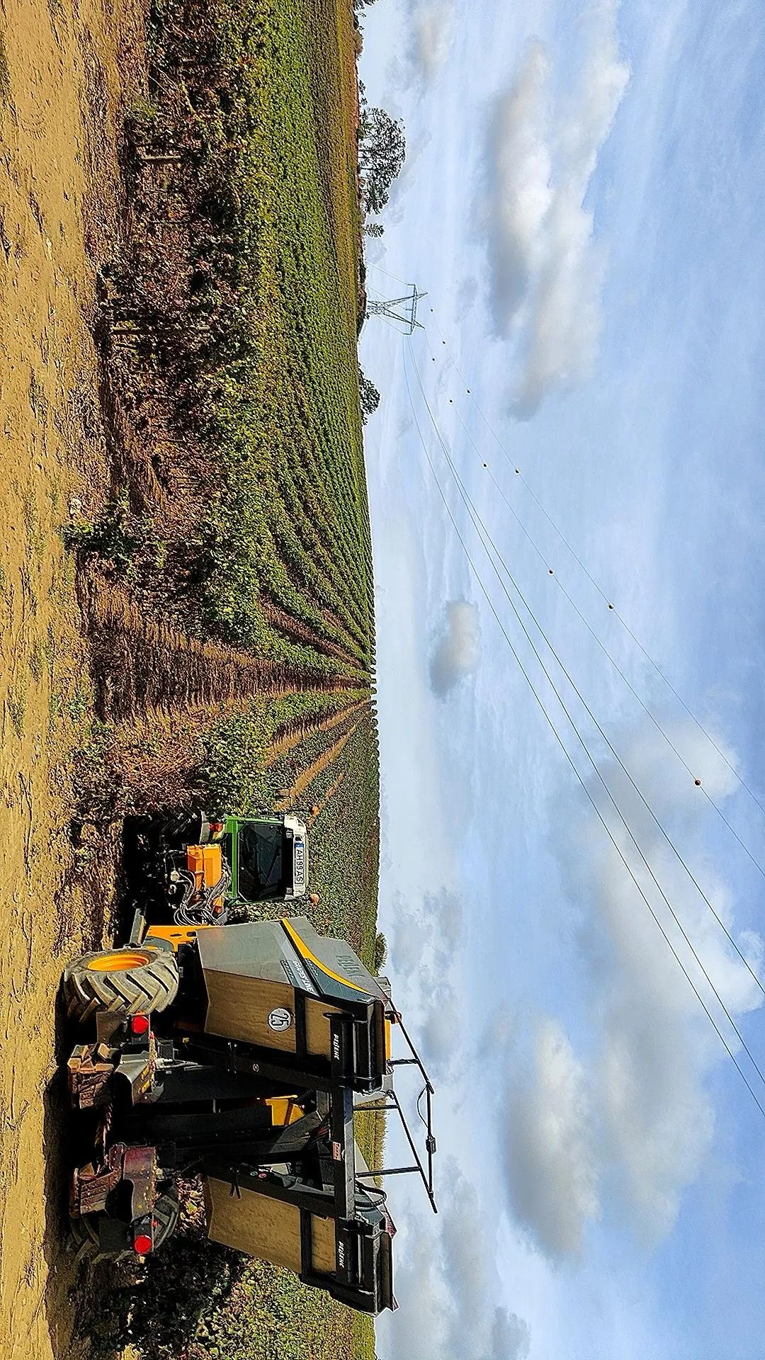 Serviços Agrícolas