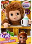 Little Live Pets Маленька мавпочка інтерактивна мавпа
