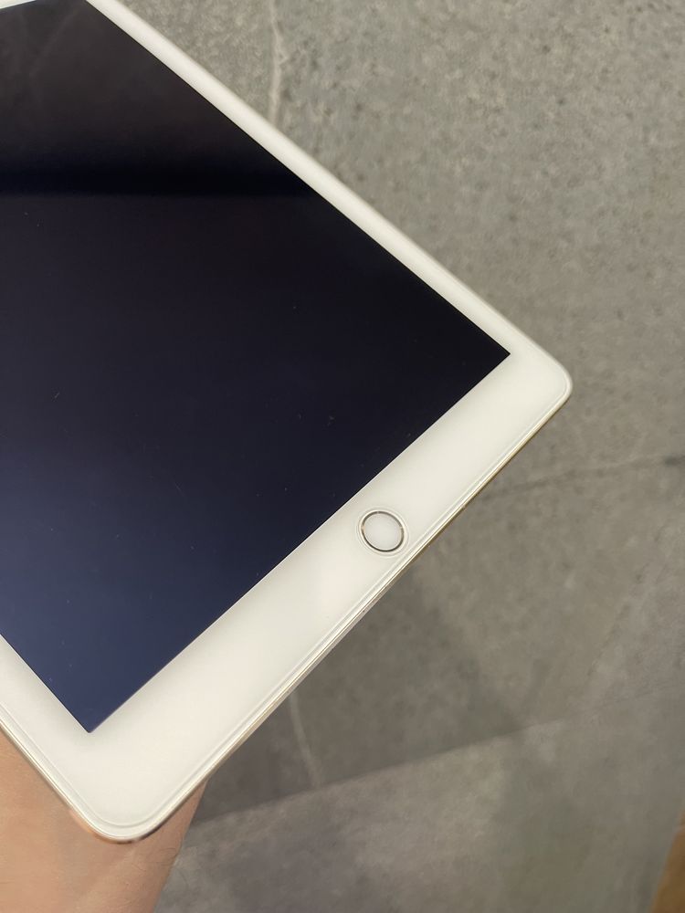 iPad Air 2 16gb Wi-Fi Gold (22)