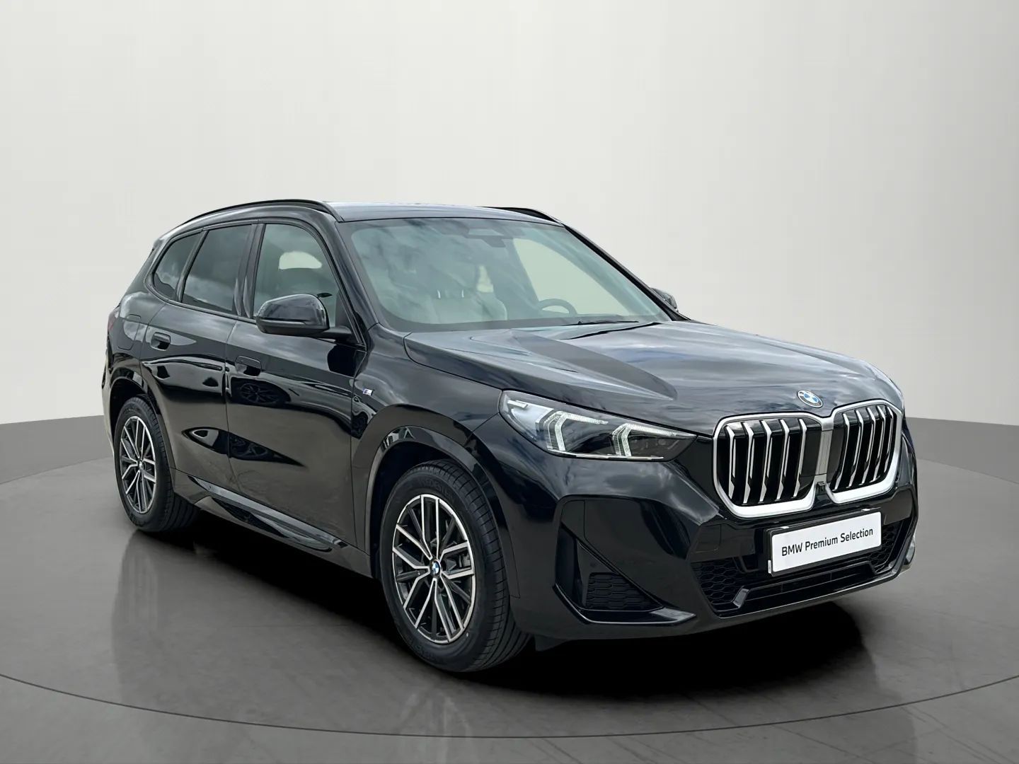 BMW X1 BMW X1 xDrive20d, 110kW