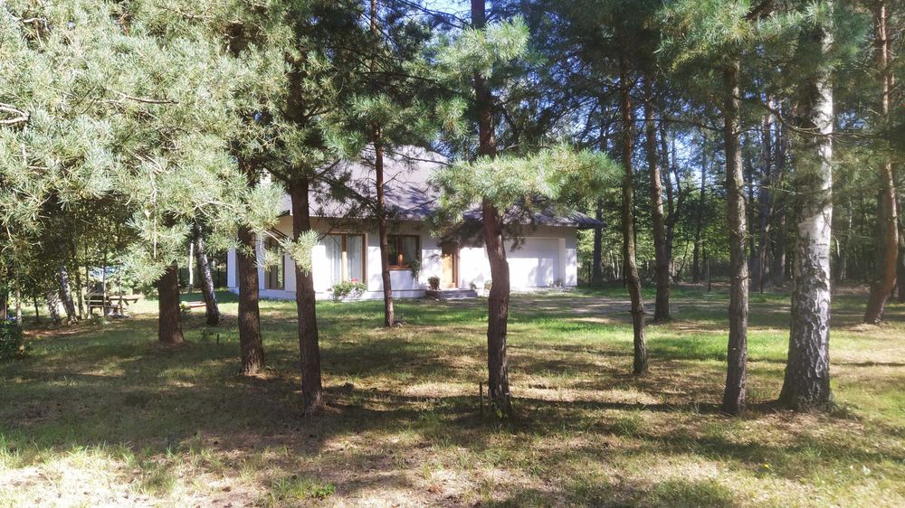 Dom w sercu lasu pod Warszawą, działka 1600m2