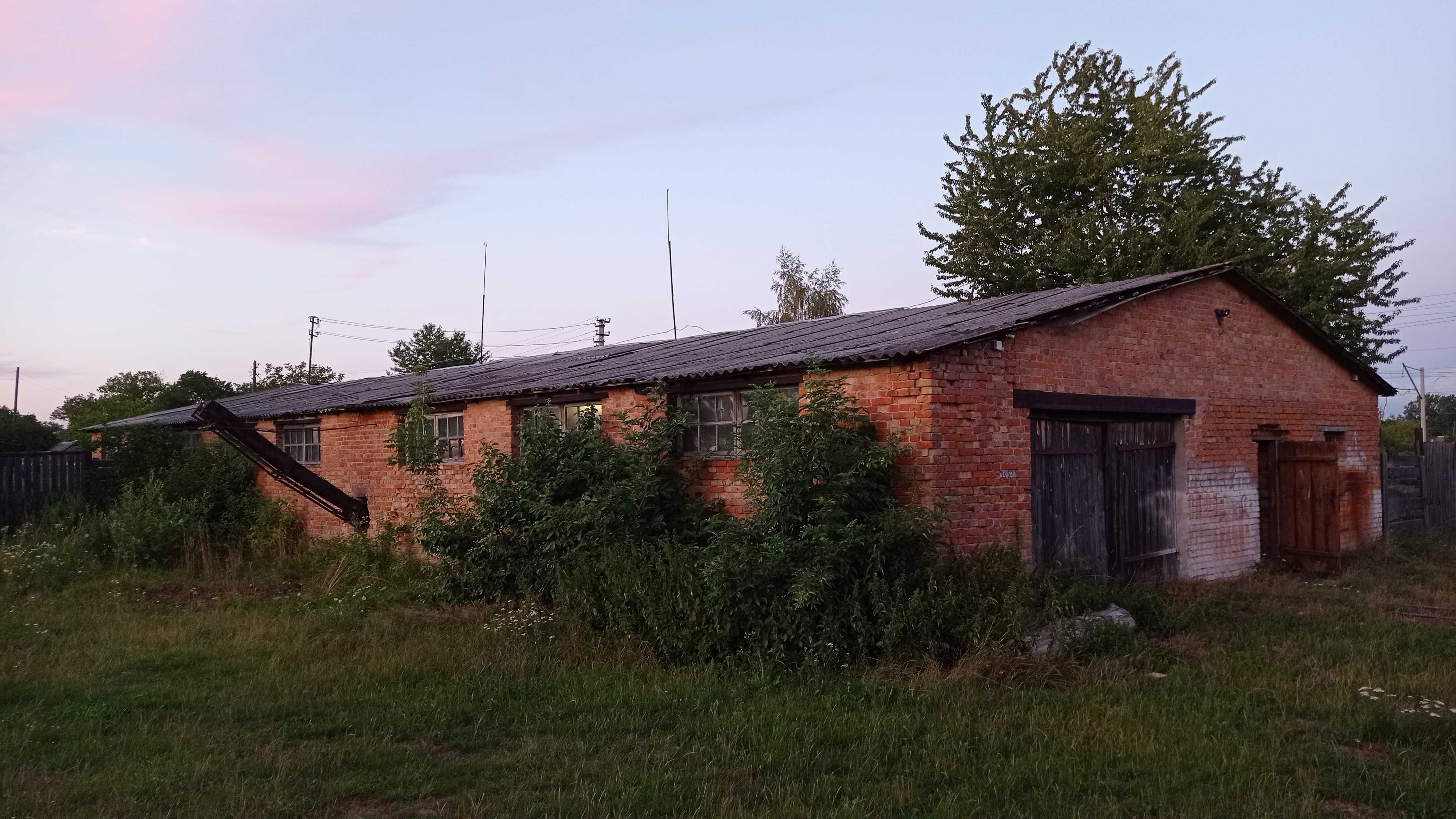 Лісопильне та стругальне виробництво