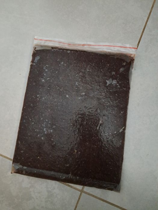 Pokarm mrożony tafle 500g