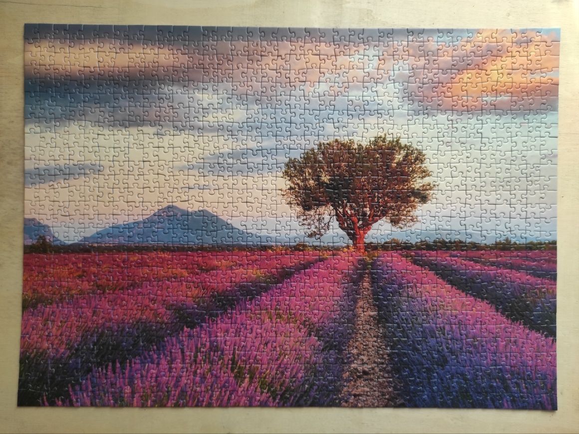 Kompletne stan idealny puzzle Lavender Fields, Ravensburger, 1000 elem