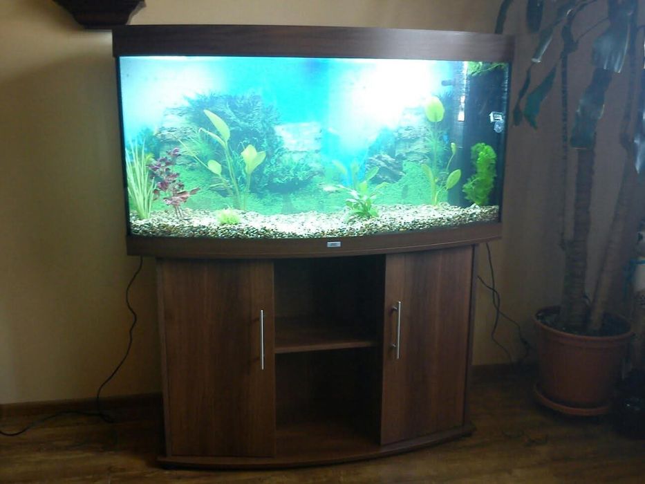 Akawium Juwel Vision 260 z akcesoriami