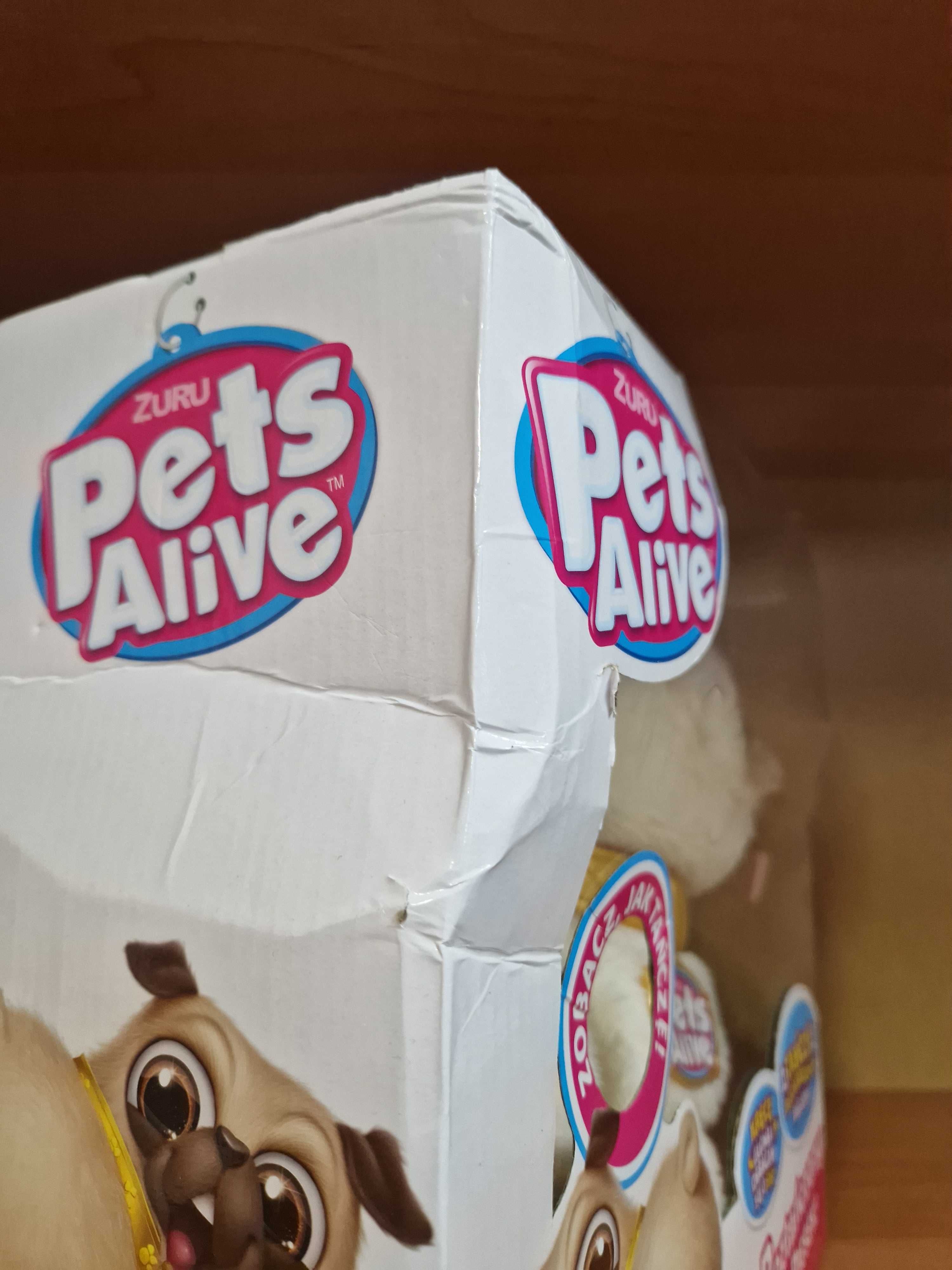 Pets Alive, Interaktywny tańczący pluszak mops Zuru Pets Alive