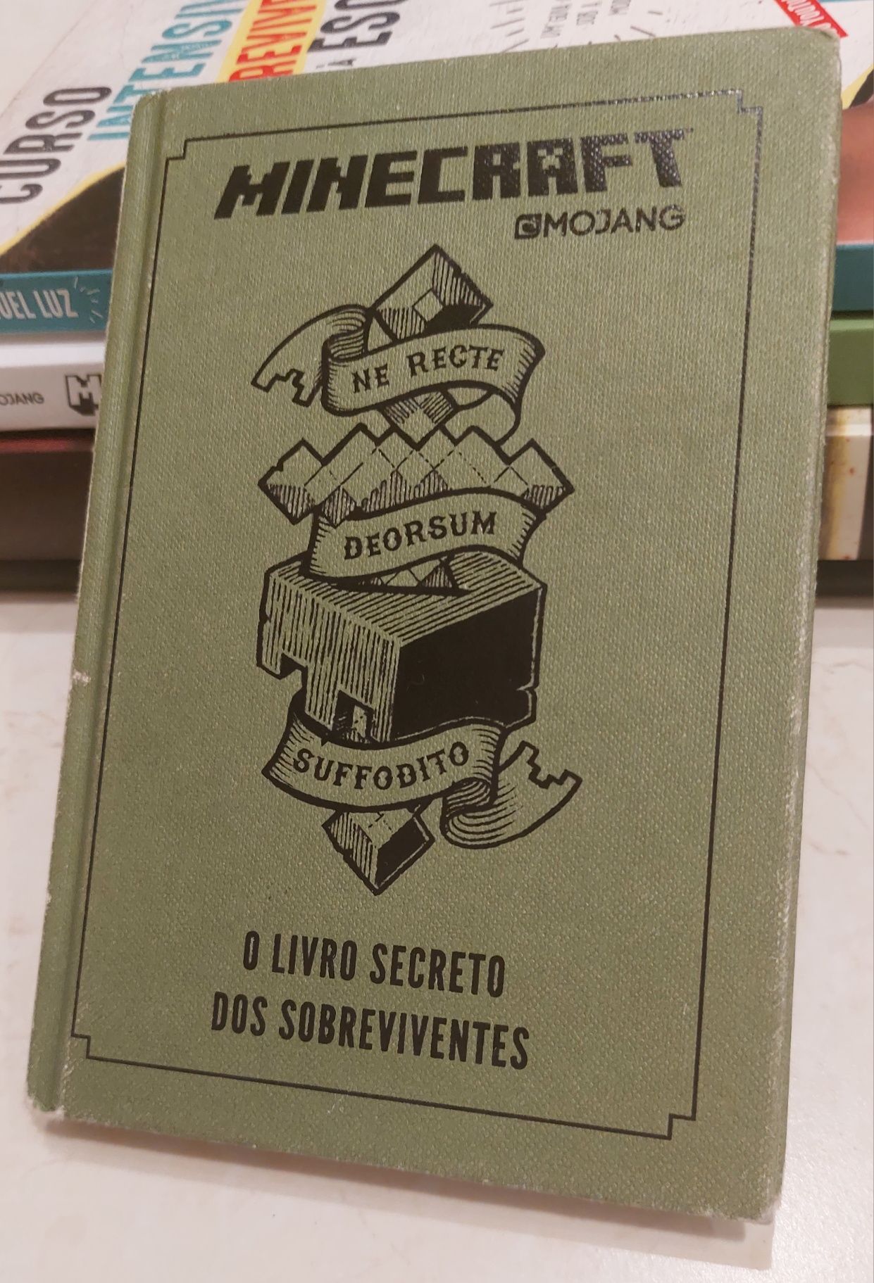 Minecraft: O Livro Secreto dos sobreviventes