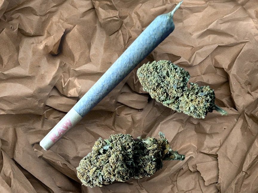 100szt joint AMNESIA CBD 39% 1.32g/szt