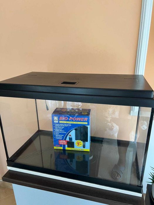 Aquário com oferta da luz e filtro