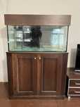 Akwarium morskie 250l 100x50x50 plus sump i drewniana szafka.