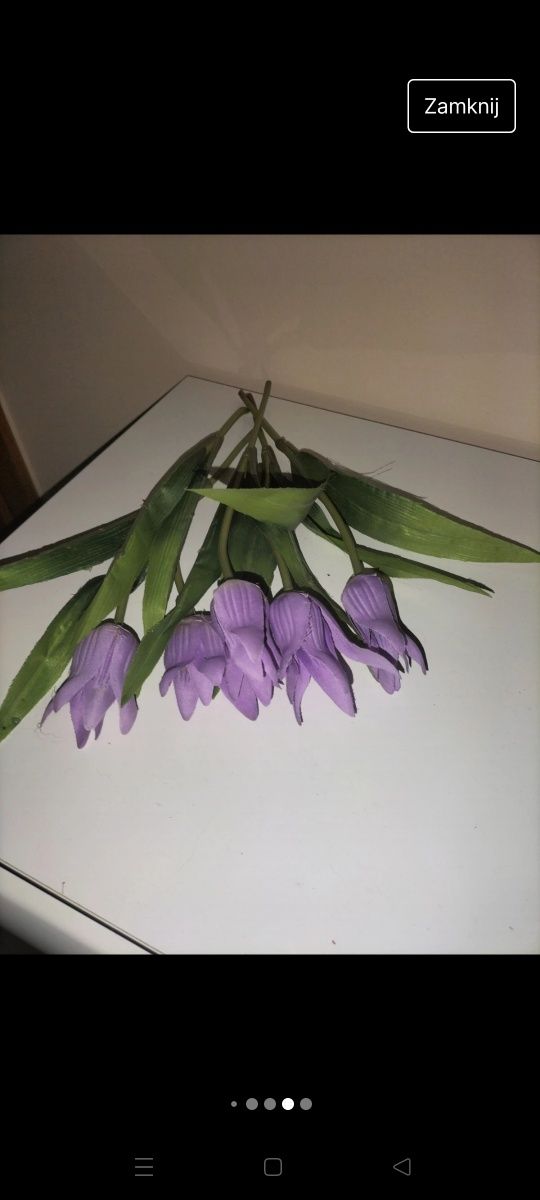 Tulipanki 18 sztuk