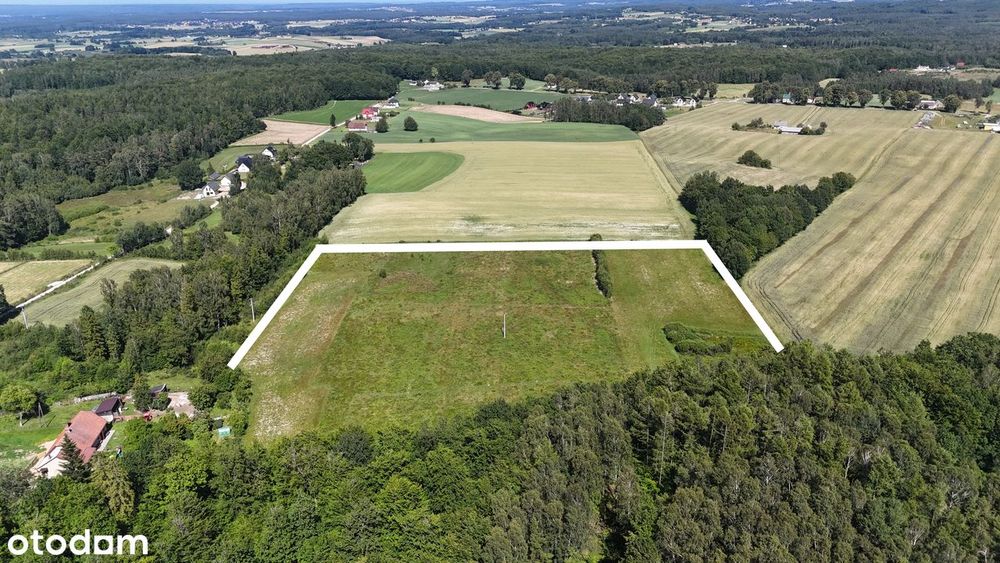 warunki zabudowy | kompleks 9 działek | blisko trasy S6 | przy lesie