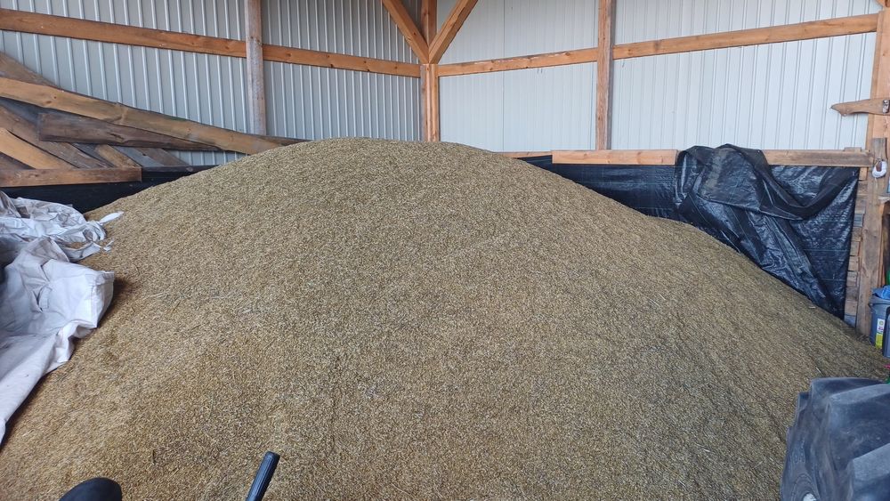 Sprzedam owies ładny że zbiorów 2025