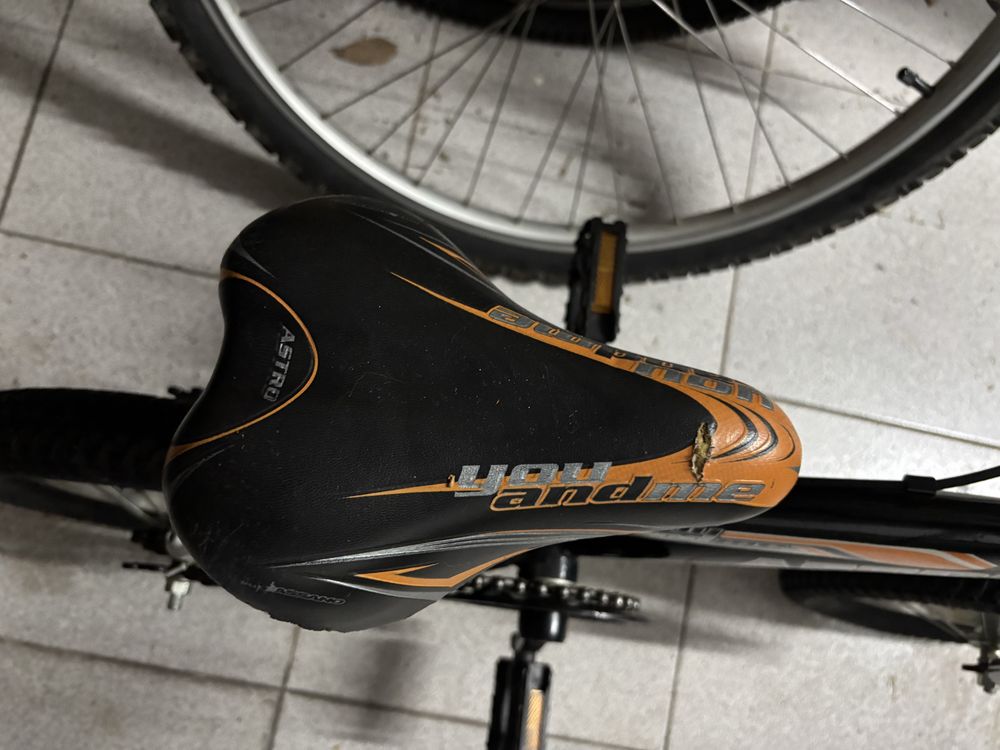 Bicicleta crianca astro