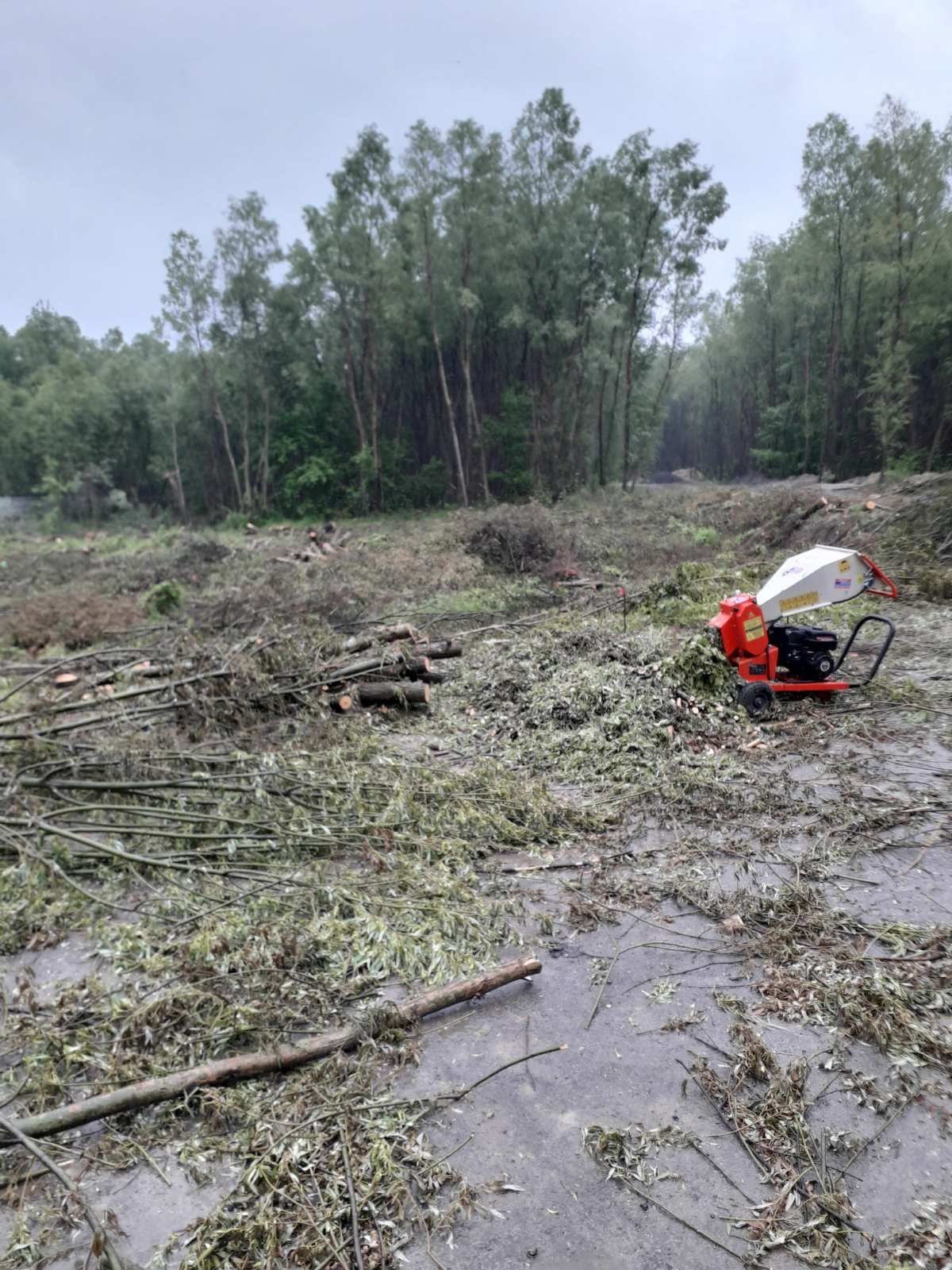 Видалення дерев Корчування пнів Благоустрій.Є послуги ЩЕПОРІЗА