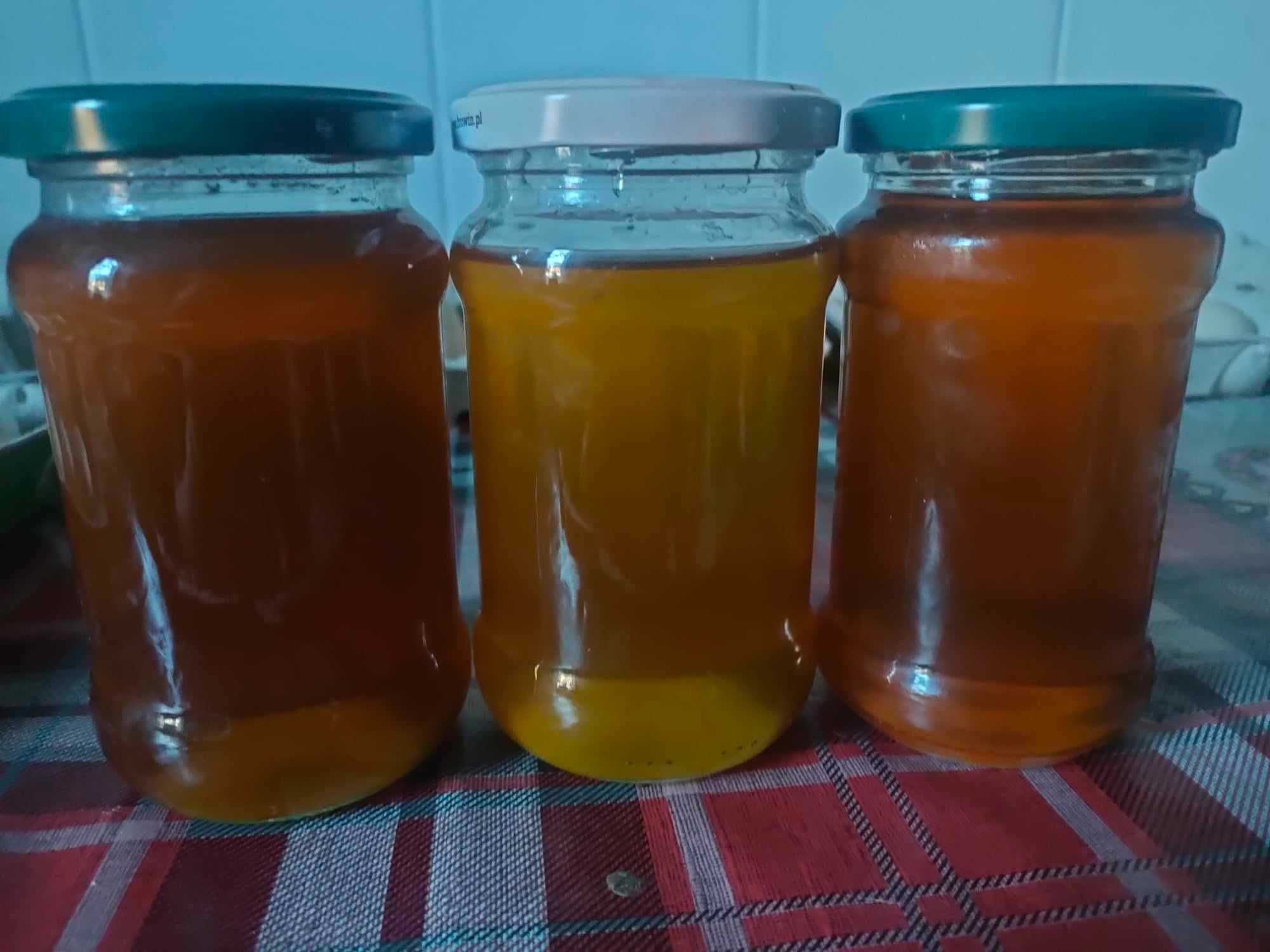 Miód /Syrop mniszkowy tegoroczny