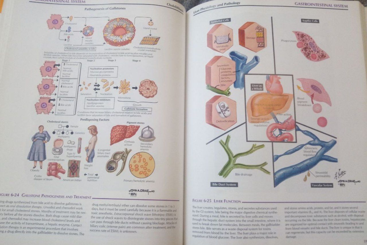 Ілюстрована фармакологія Неттера / Netter's Illustrated Pharmacology.