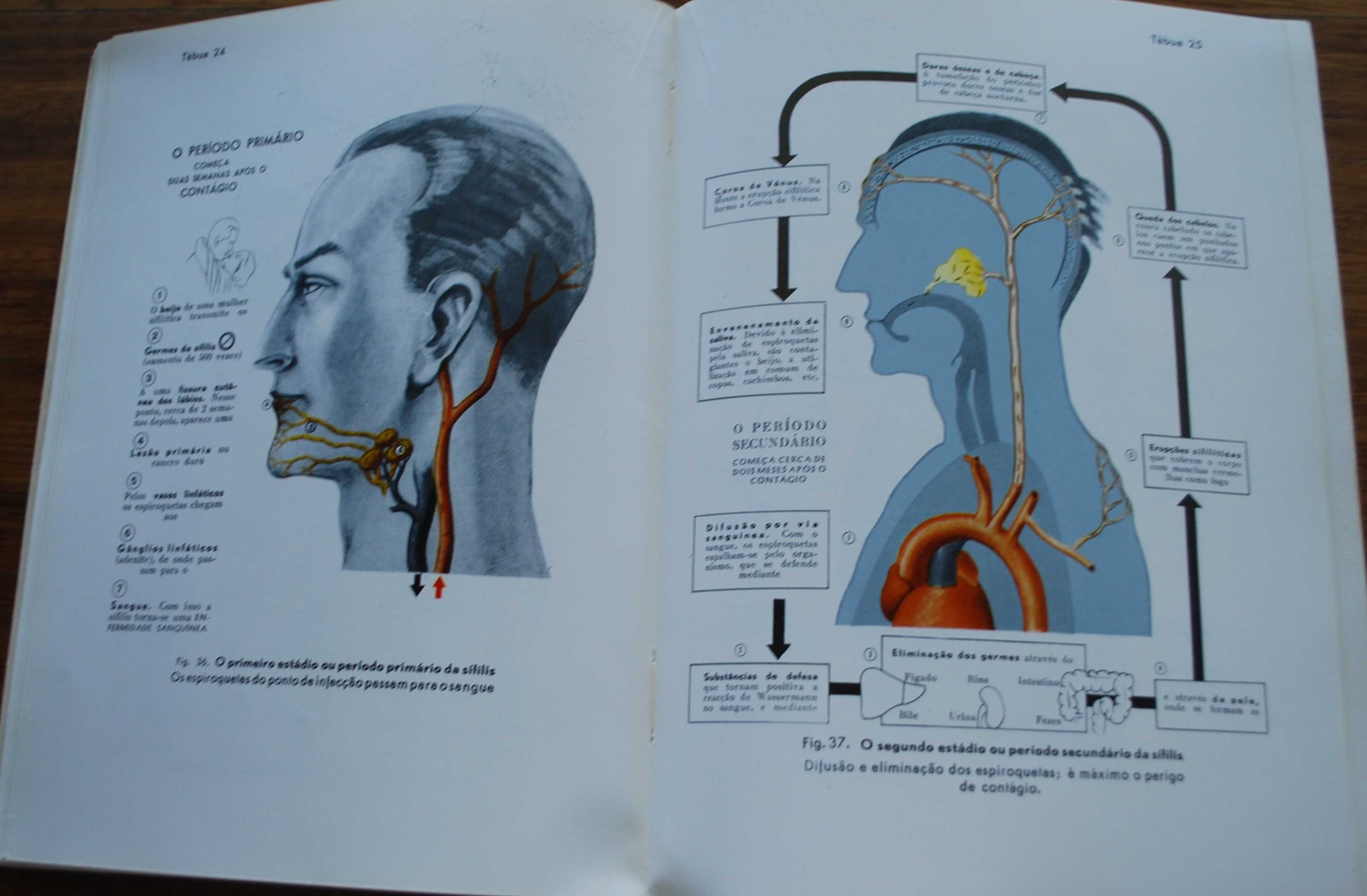 A Nossa Vida Sexual (Seus Problemas e Soluções) de Fritz Kahn