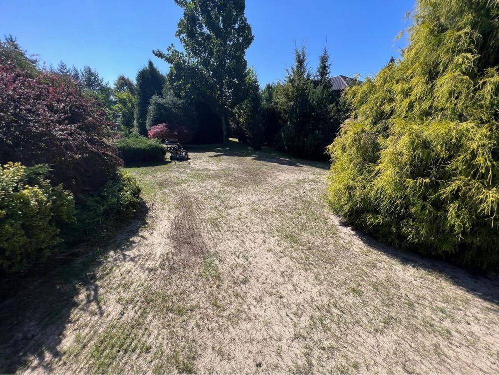 Profesjonalne piaskowanie trawnika, top dressing trawnika, EcoLawn