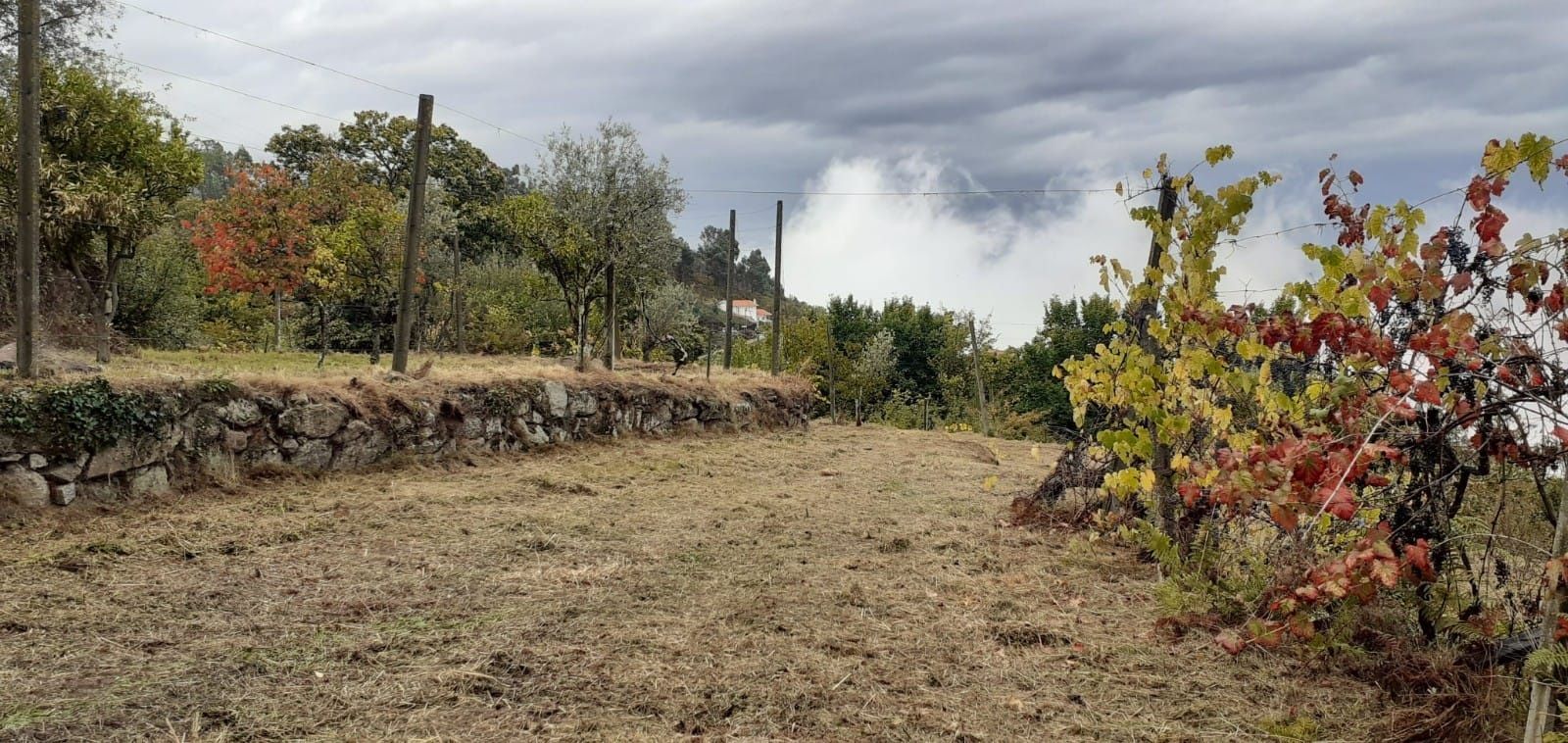 Moradia em Cinfães