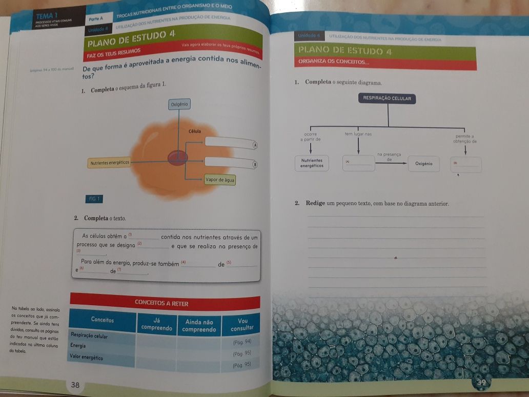 Manual e Caderno de Atividades Natura 6 - 6º ano Ciências