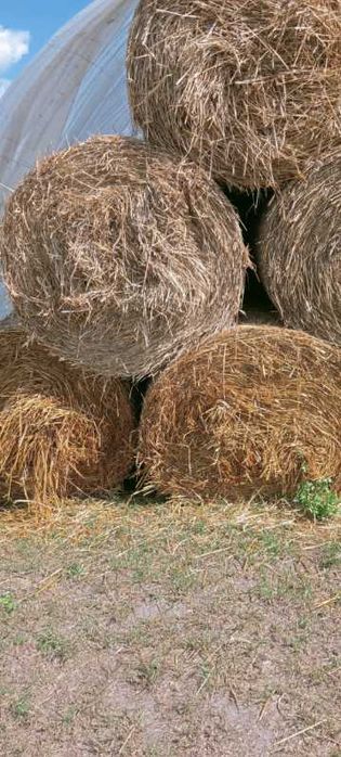Słoma w balotach