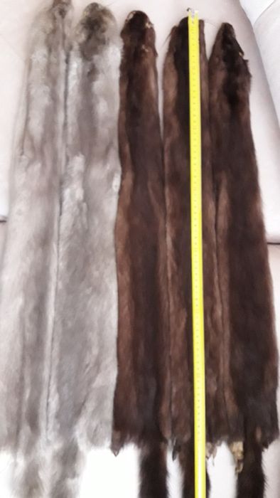 Продам шкіри норки та фредки.