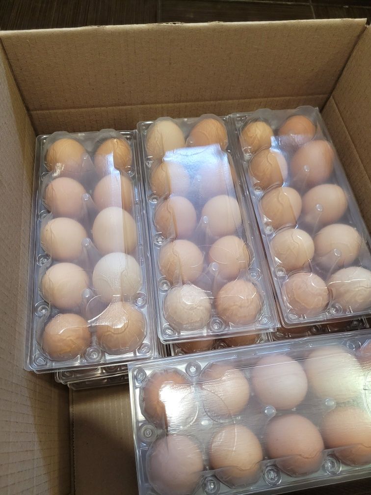 Продам яйця з домашньої куриці