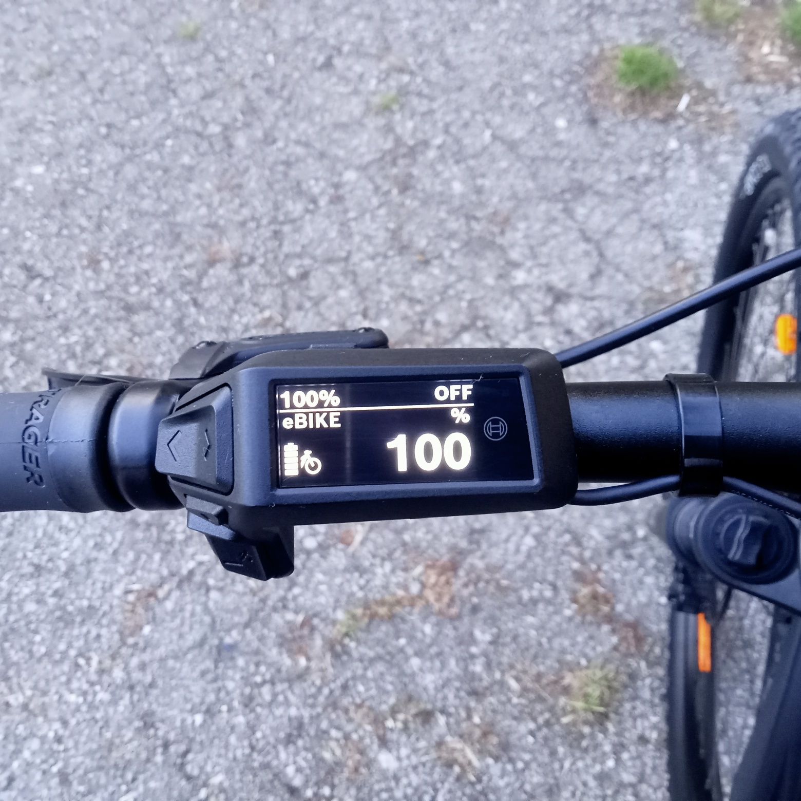 Rower elektryczny Trek Merlin 6 Bosch  Active Line Plus Merlin