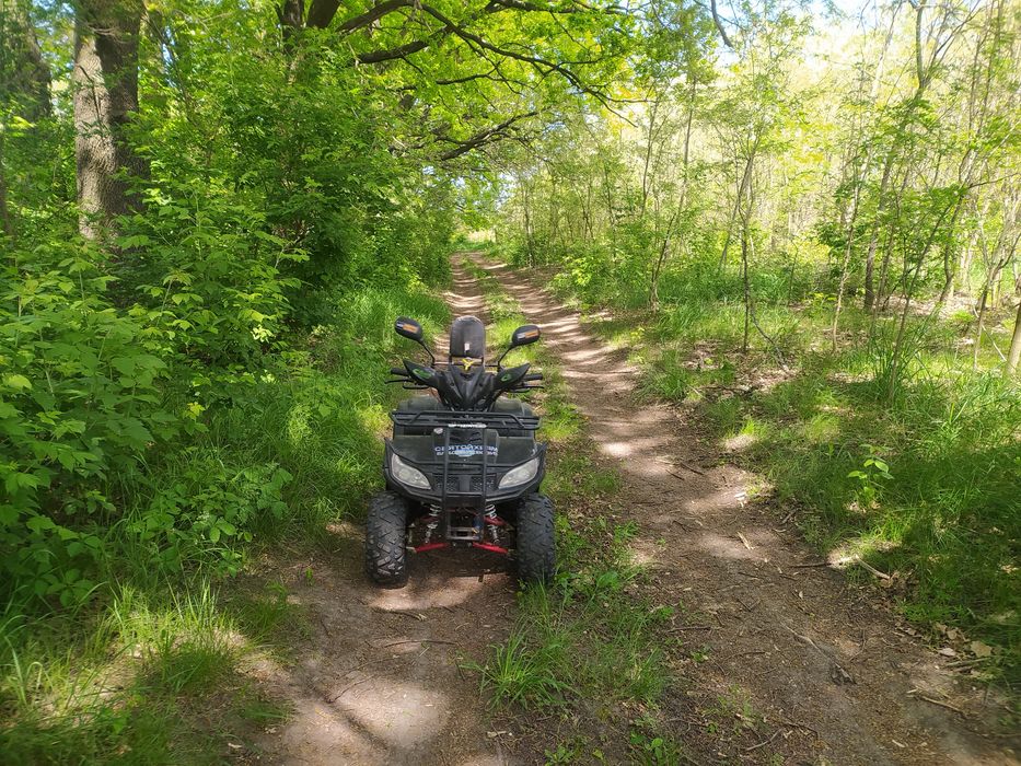 Квадроцикл 125 (3+1)