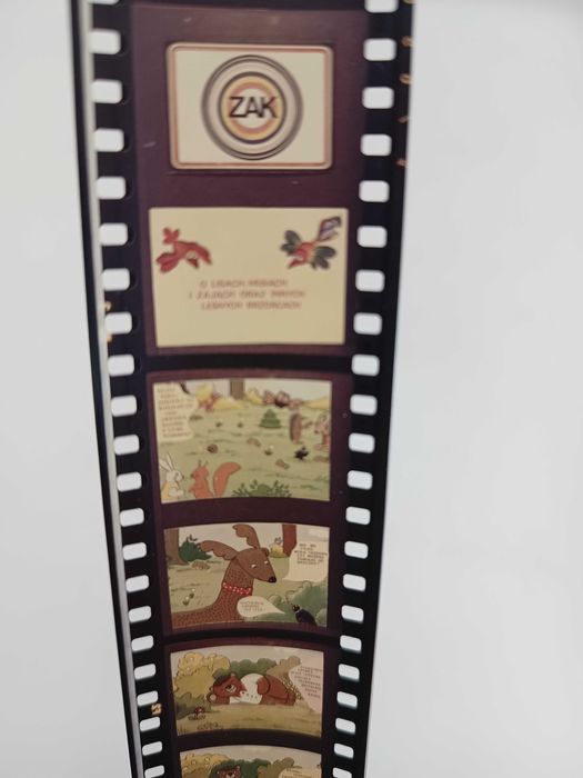 Bajka na rzutnik Ania O misiach lisach i zającach oraz innych... ZAK