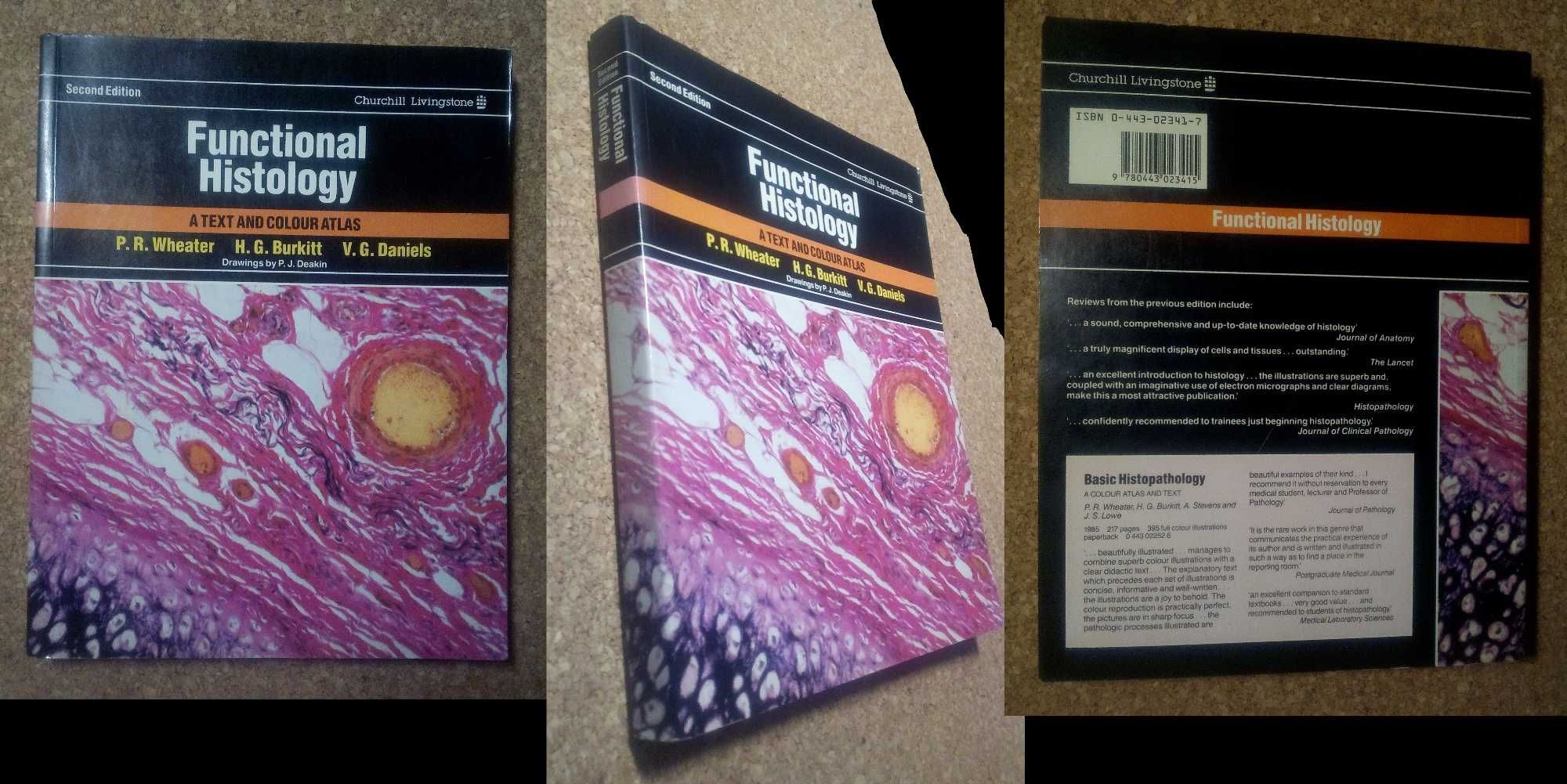 Tratados de Medicina—Fisiologia + Biologia Celular + Histologia—6vols.