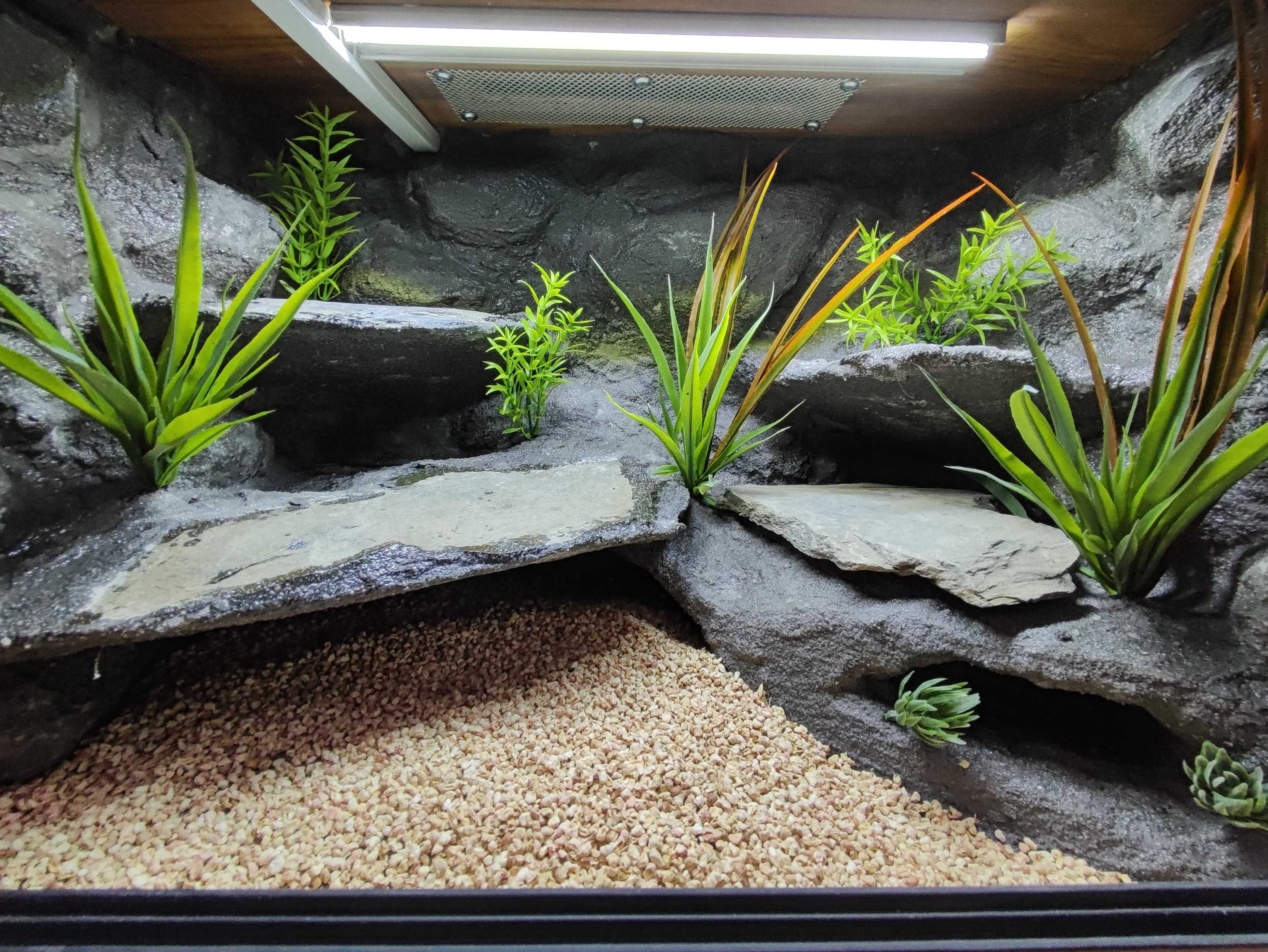 Terrarium pustynne nr717 60/40/40 dla gekona lamparciego DOSTĘPNE