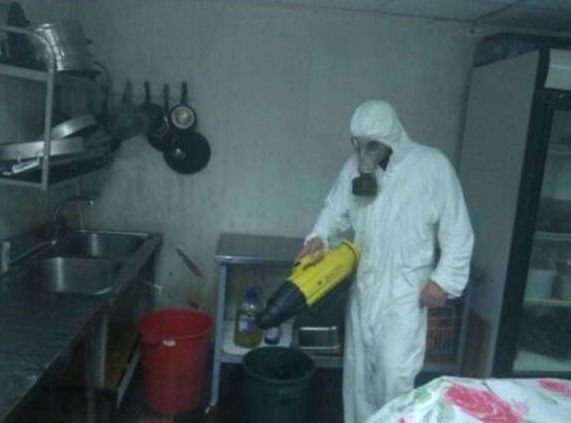 Дезодорация помещения от крыс и мышей уничтожение всех насекомых