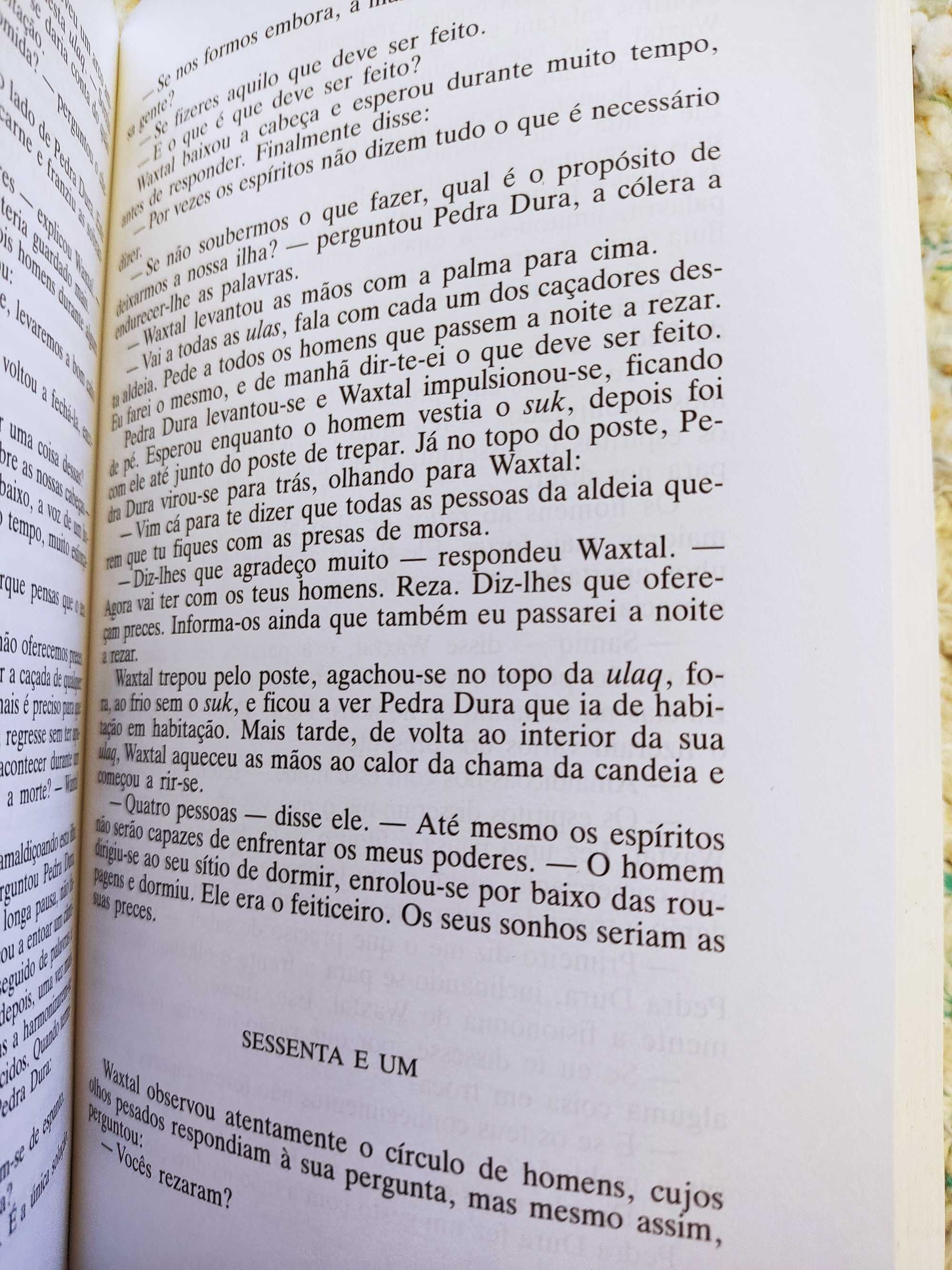 Meu irmão, o vento, de Sue Harrison