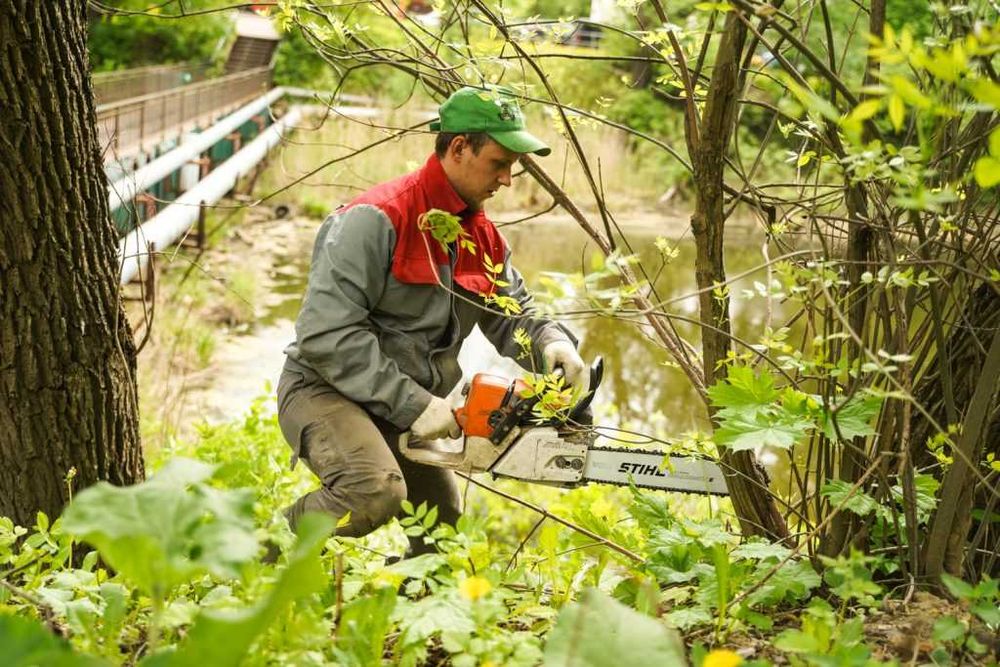 Спилювання, обрізка аварийних дерев. Розчищення ділянок. Київ, область